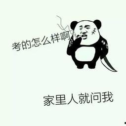 当   搞笑版,当搞笑版遇上生活奇遇记